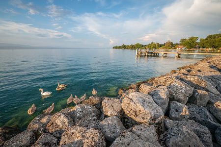 Port de Sciez Port de Sciez