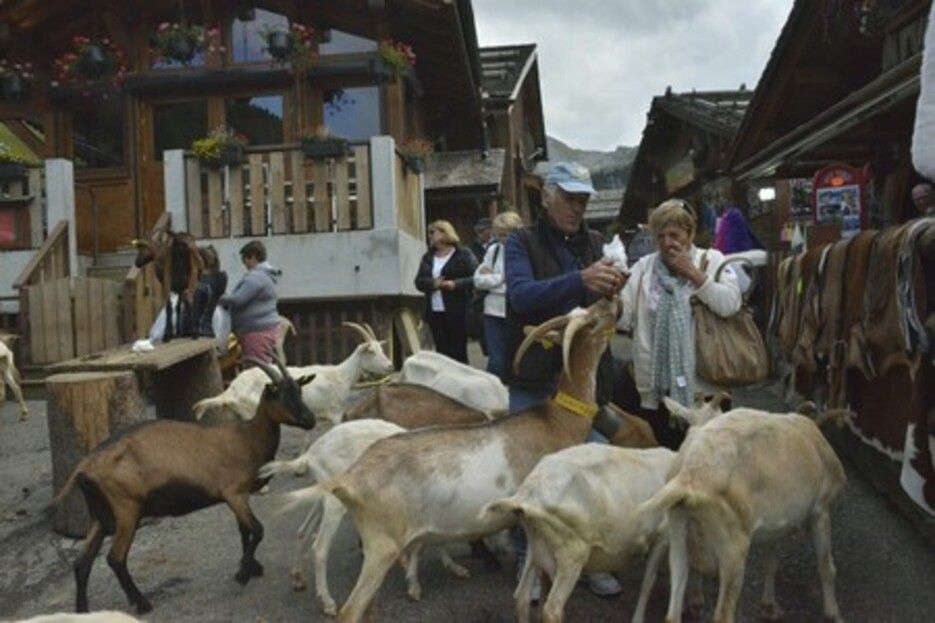 Les Lindarets - Morzine Les Lindarets - Morzine